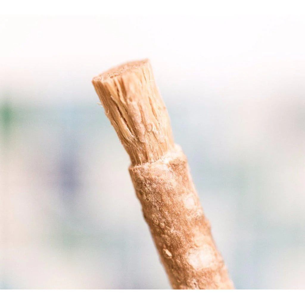 What is a Miswak? The Benefits & More